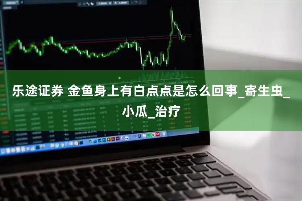 乐途证券 金鱼身上有白点点是怎么回事_寄生虫_小瓜_治疗
