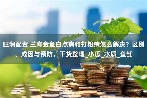 旺润配资 兰寿金鱼白点病和打粉病怎么解决？区别、成因与预防，干货整理_小瓜_水质_鱼缸