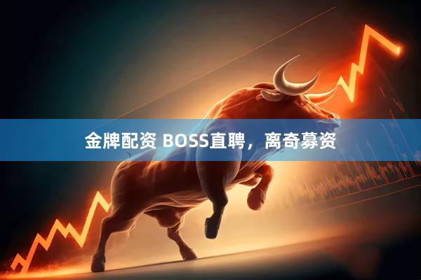 金牌配资 BOSS直聘，离奇募资