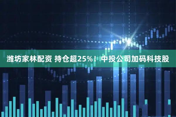 潍坊家林配资 持仓超25%！中投公司加码科技股
