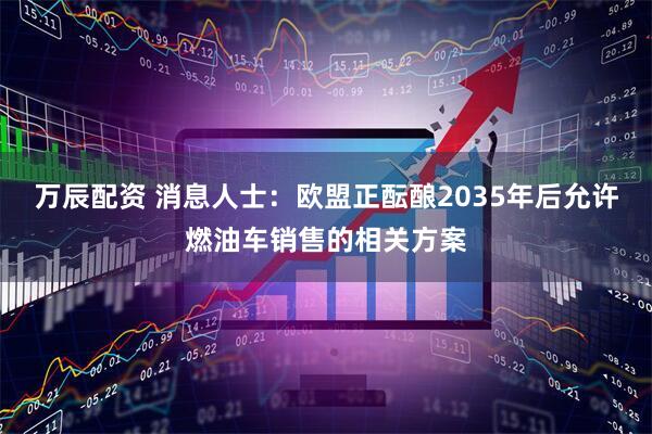 万辰配资 消息人士：欧盟正酝酿2035年后允许燃油车销售的相关方案